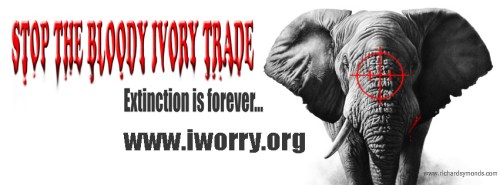 Stop-Ivory-FB-banner-iworry