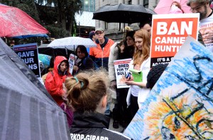 Global March for Lions