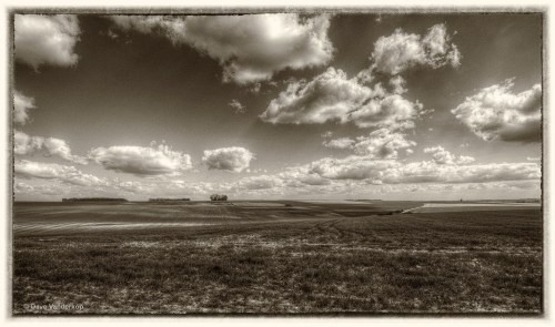 _DSC3406-2_tonemapped5 - Version 2 copy 3