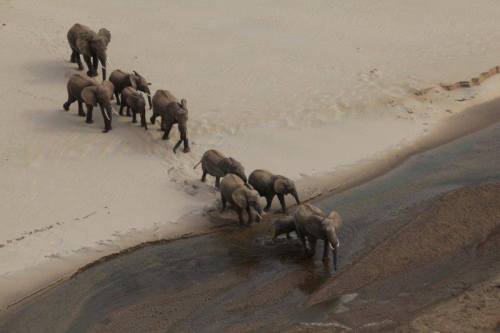 10389195_10152591439569889_2699875039625776534_n