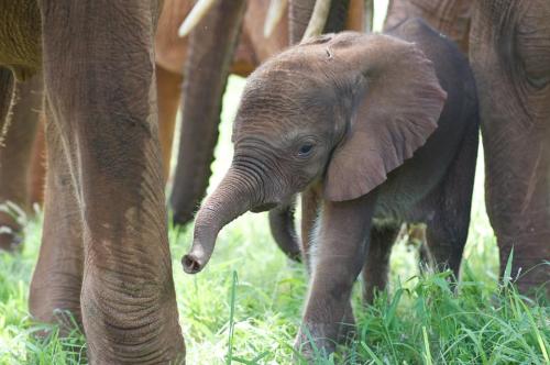 10474199_10152600809284889_1158069044112135924_n