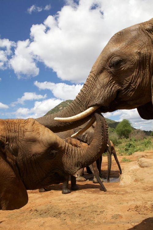 10495061_10152598784524889_2992437935848905624_o