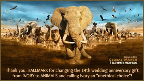 10522144_851974788154007_8098451405893074393_n