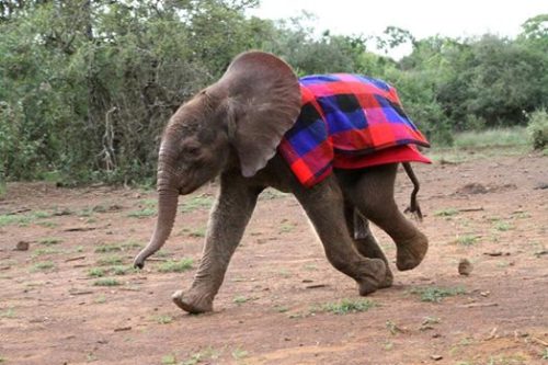 10525967_10152591070469889_6743660755206750911_n