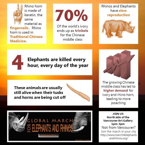 elephant_infographic_updated