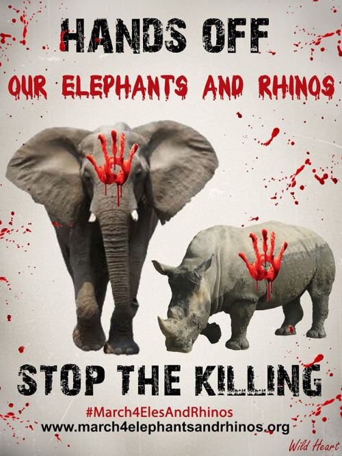 10351070_585224081583307_15799620964906136_n