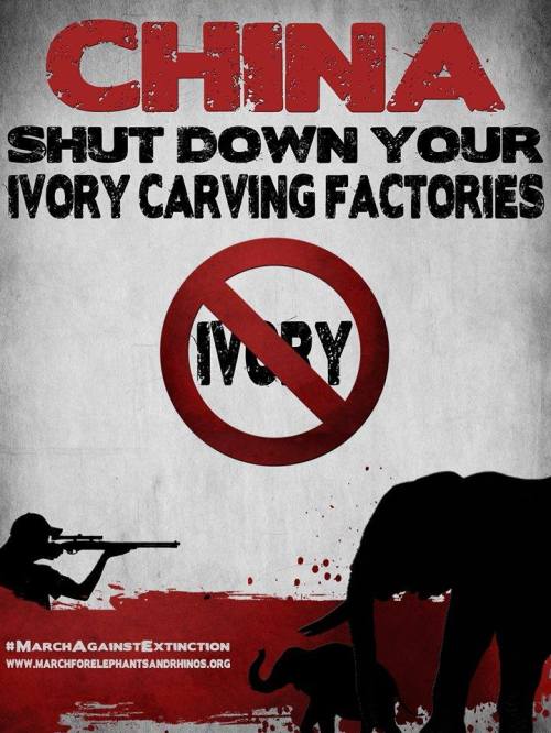 10394491_884604334898035_3808353792884566463_n