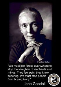 10631092_869413003076852_3582287957641629992_o