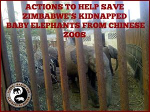 10849804_941371222547696_6560763297292959950_n