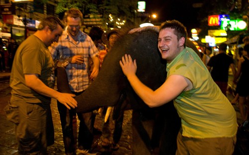 drunktouristsele_3013337b