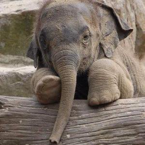 11913880_1173266522700417_387683873892771544_n