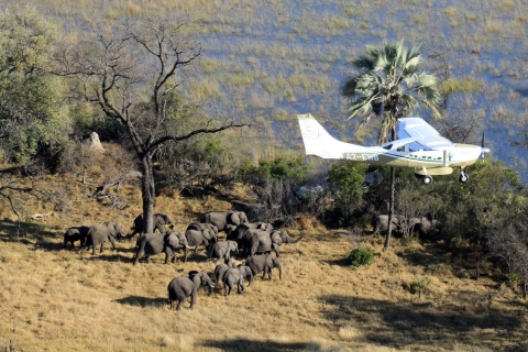 EWB-Botswana-10-flying-1-large.jpg